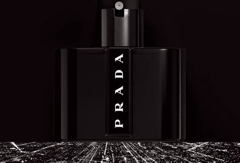 prada black smells like|prada black perfume reviews.